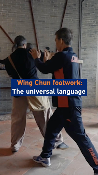 Wing_Chun_Footwork__Bridging_Martial_Arts_Traditions_Worldwide video poster