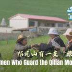 Women_Rangers_Lead_Conservation_Efforts_in_Qilian_Mountains_poster - Khabar Asia Women_Rangers_Lead_Conservation_Efforts_in_Qilian_Mountains video poster
