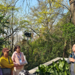 Wuhan_Residents_Rally_to_Protect_120_Year_Old_Tree_in_Urban_Conservation_Effort