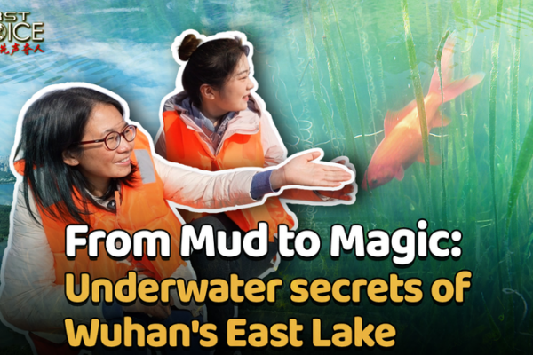 Wuhan_s_East_Lake_Revival__A_Woman_s_Quest_to_Restore_Aquatic_Life video poster
