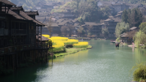 Wujiangzhai_s_Golden_Rapeseed_Blooms_Herald_Spring_in_Guizhou