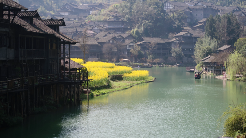 Wujiangzhai_s_Golden_Rapeseed_Blooms_Herald_Spring_in_Guizhou