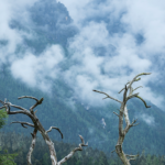 Wuxu_Lake__A_Serene_Escape_Featured_in__Pegasus_3__Amidst_Sichuan_s_Peaks video poster