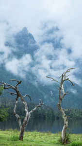 Wuxu_Lake__A_Serene_Escape_Featured_in__Pegasus_3__Amidst_Sichuan_s_Peaks video poster