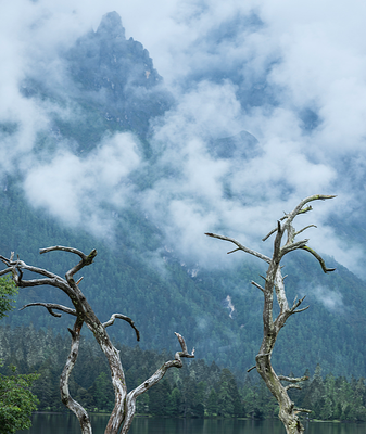 Wuxu_Lake__A_Serene_Escape_Featured_in__Pegasus_3__Amidst_Sichuan_s_Peaks video poster