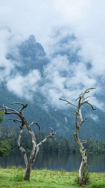 Wuxu_Lake__A_Serene_Escape_Featured_in__Pegasus_3__Amidst_Sichuan_s_Peaks video poster