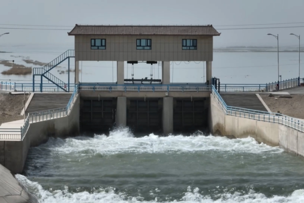 Xinjiang_Advances_Major_Ecological_Restoration_Project_in_Desert_Regions video poster