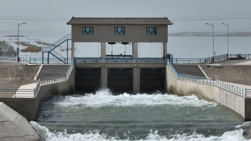 Xinjiang_Advances_Major_Ecological_Restoration_Project_in_Desert_Regions video poster