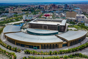 Xinjiang_s_Economic_Growth_and_Global_Partnerships_Draw_International_Praise_in_2026