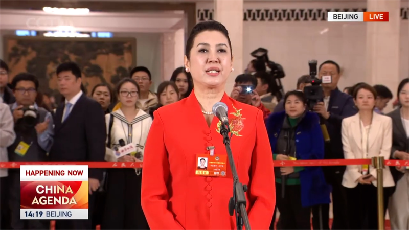 Xinjiang_s_Education_Boom_Empowers_Youth__Says_CPPCC_Member video poster