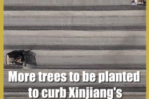 Xinjiang_s__Green_Scarf__Expands_to_Combat_Taklimakan_Desert video poster