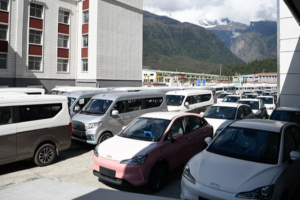 Xizang_s_Foreign_Trade_Surges_15_4__in_Early_2026_Amid_South_Asia_Focus