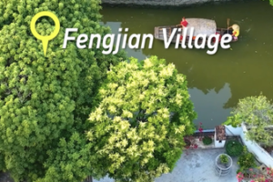 Explore Shunde’s Spring Charms: A 2026 Travel Guide video poster