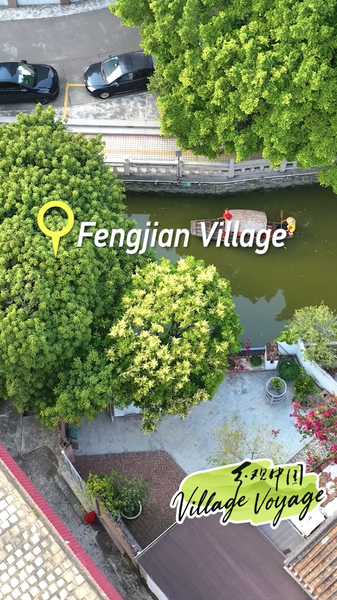 Explore Shunde’s Spring Charms: A 2026 Travel Guide video poster