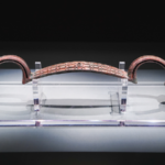 Ancient_Royal_Education_Revealed_Through_Yin_Ruins_Artifacts