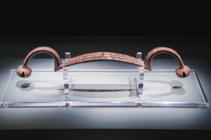 Ancient_Royal_Education_Revealed_Through_Yin_Ruins_Artifacts