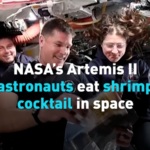 Artemis_II_Astronauts_Share_Space_Life__Shrimp_Cocktails__CPR_Drills video poster