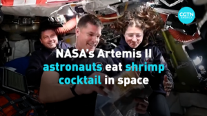 Artemis_II_Astronauts_Share_Space_Life__Shrimp_Cocktails__CPR_Drills video poster