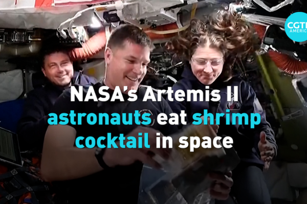 Artemis_II_Astronauts_Share_Space_Life__Shrimp_Cocktails__CPR_Drills video poster