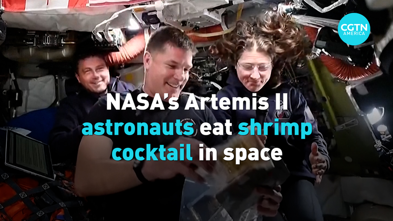Artemis_II_Astronauts_Share_Space_Life__Shrimp_Cocktails__CPR_Drills video poster