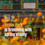 Beihai_Park_Blooms_with_Spring_Splendor_in_2026 video poster