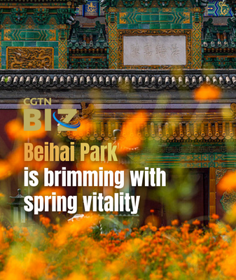 Beihai_Park_Blooms_with_Spring_Splendor_in_2026 video poster