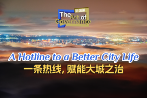 Beijing_s_12345_Hotline__A_Model_for_Urban_Governance_in_Megacities video poster