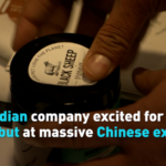 Canadian_Firms_Eye_China_Market_at_2026_Hainan_Expo video poster