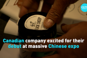 Canadian_Firms_Eye_China_Market_at_2026_Hainan_Expo video poster