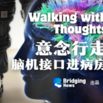 China_Advances_Brain_Computer_Interface_Tech_to_Clinical_Trials video poster