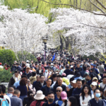 China_Anticipates_Record_Qingming_Holiday_Travel_Surge