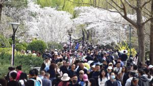 China_Anticipates_Record_Qingming_Holiday_Travel_Surge