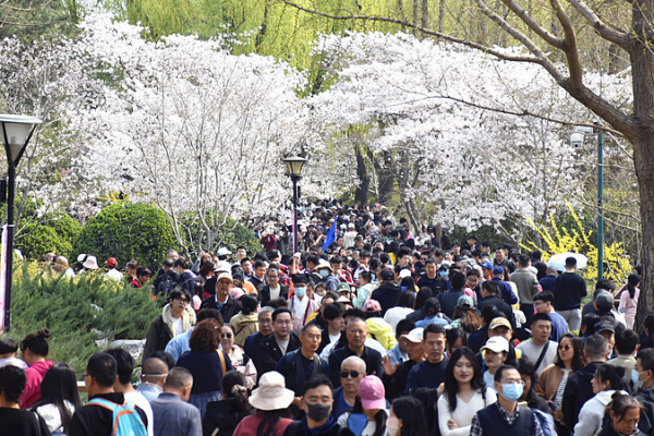 China_Anticipates_Record_Qingming_Holiday_Travel_Surge