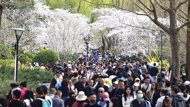 China_Anticipates_Record_Qingming_Holiday_Travel_Surge