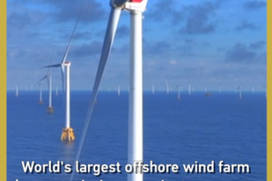 China_Builds_World_s_Largest_Offshore_Wind_Farm_in_Guangdong__Aims_for_50B_kWh_by_2030 video poster