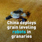 China_Deploys_AI_Powered_Grain_Robots_to_Boost_Food_Security video poster