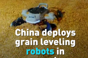 China_Deploys_AI_Powered_Grain_Robots_to_Boost_Food_Security video poster