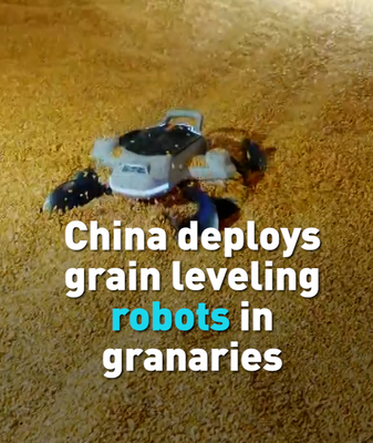 China_Deploys_AI_Powered_Grain_Robots_to_Boost_Food_Security video poster