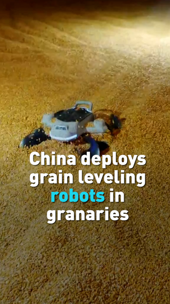 China_Deploys_AI_Powered_Grain_Robots_to_Boost_Food_Security video poster