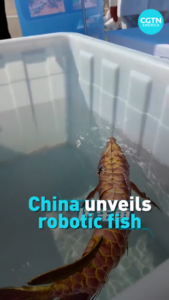 China_Deploys_Bionic_Robotic_Fish_for_Underwater_Surveillance video poster