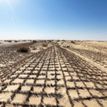 China_Intensifies_Desert_Control_in_Taklimakan_with_Tech_Driven_Solutions video poster