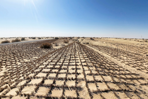 China_Intensifies_Desert_Control_in_Taklimakan_with_Tech_Driven_Solutions video poster