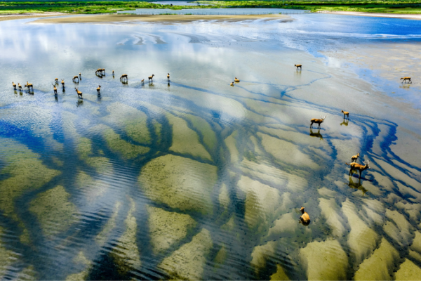 China_Launches_2026_Global_Sustainability_Partnership_Guidelines