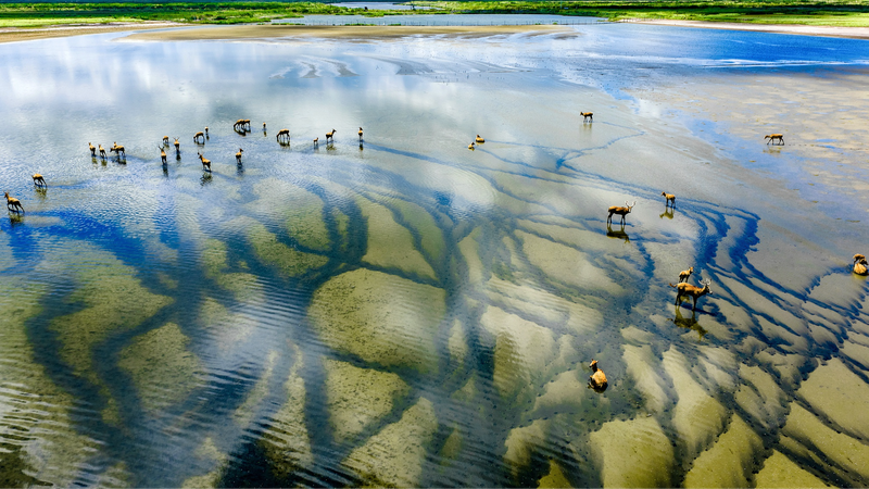 China_Launches_2026_Global_Sustainability_Partnership_Guidelines