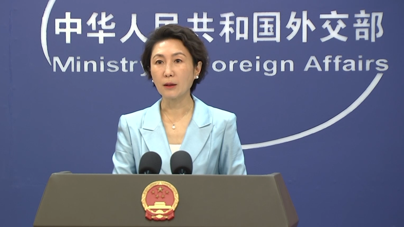 China__Pakistan_Unveil_Gulf_Peace_Initiative__Seek_Global_Support