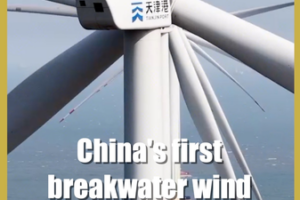 China_s_Breakwater_Wind_Project_Powers_Coastal_Sustainability video poster