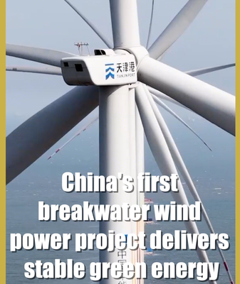 China_s_Breakwater_Wind_Project_Powers_Coastal_Sustainability video poster