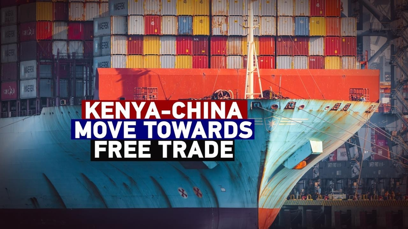 China_s_Duty_Free_Policy_Boosts_African_Trade__Spurs_Industrial_Shift video poster