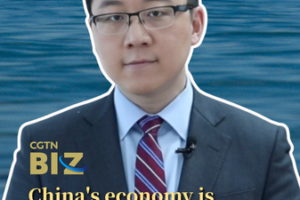 China_s_Economy_Demonstrates__Anti_Fragile__Resilience video poster