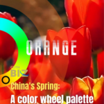 China_s_Spring_Palette__Blossoms__Tourism_Surge_Define_2026_Season_poster - Khabar Asia China_s_Spring_Palette__Blossoms__Tourism_Surge_Define_2026_Season video poster